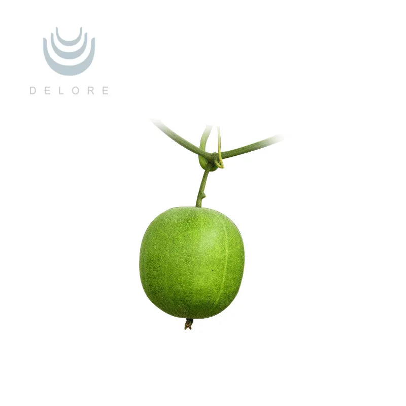 Natural Sweetner Monk Fruit Extract 20%25%50%70% Mogroside V Luo Han Guo Extract Monk Fruit Powder Monk Fruit Concentrate Juice Herbal Extract