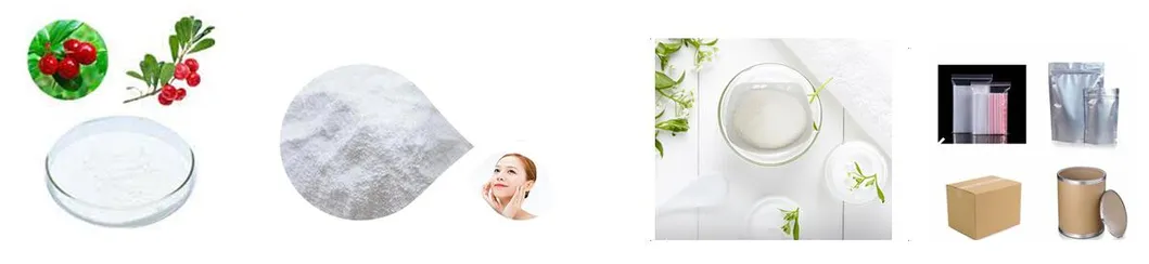 Naturally Extracted From Bearberry Skin Lightening Agent Beta-Arbutin China Factory