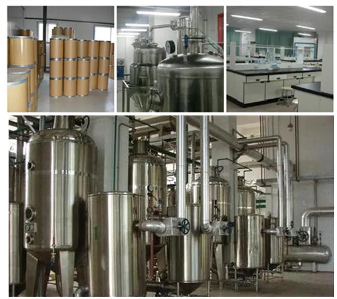 Non-GMO Soybean Extract 80% Soy Isoflavone