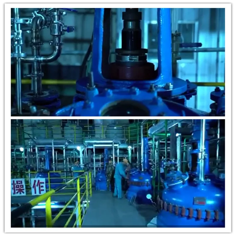 Nutral Max Polygonum Cuspidatum P. E. Resveratrol 98%