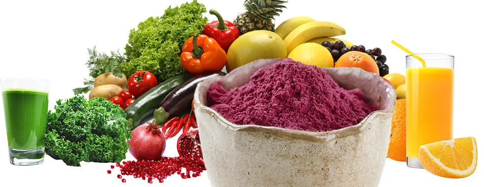 Nutritional Supplement Fruit Extract Red Pomegranate Extract Pomegranate Juice Powder