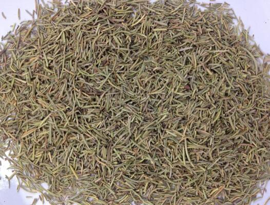 Nutritional Supplement Rosemary Extract Rosmarinic Acid for Antioxidant Skincare