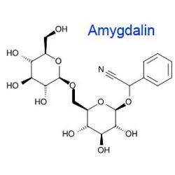 Nutural Botanical Extract 50%~98% Amygdalin (Vitamin B17)