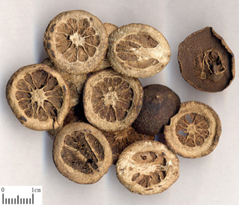 Nutural Plant Extract Neohesperidin 95% 98% CAS No. 13241 -33-3 Strong Sweetener