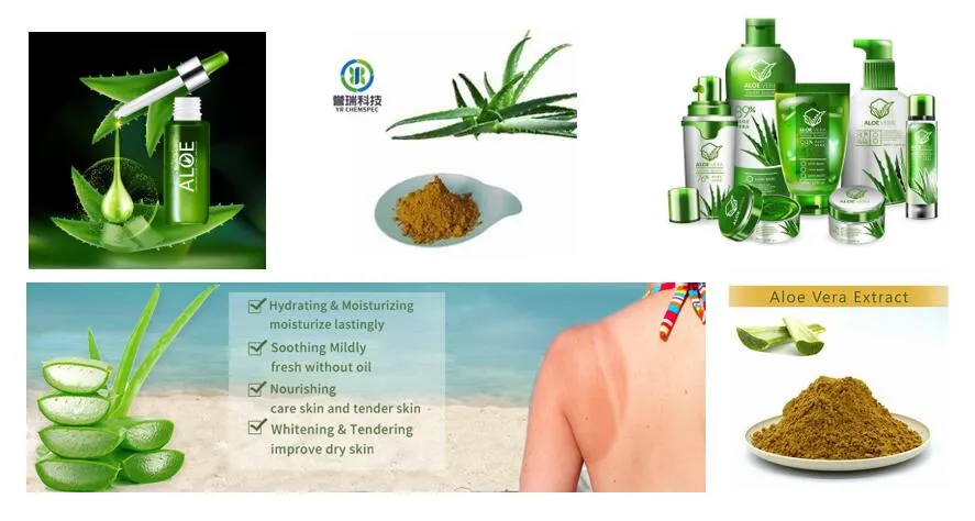 OEM Supply China Pure Natural Aloe Vera Leaf Extract Aloin Barbaloin for Skincare