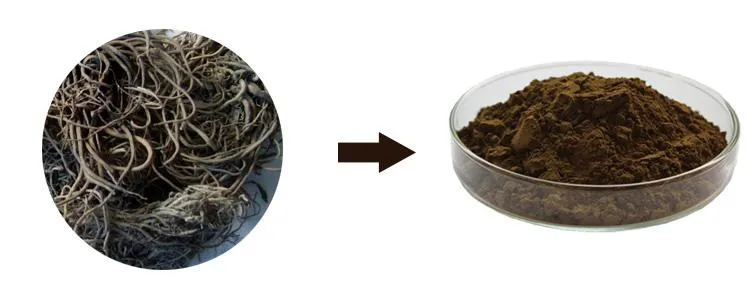 Organic Water Soluble Valerian Root Extract Powder with Valeric Acid 0.4-0.8%