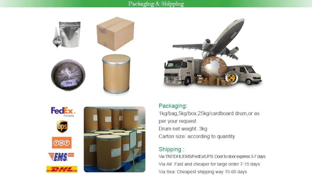 Panax Notoginseng Root Extract Powder HPLC 85% Notoginseng Total Saponins
