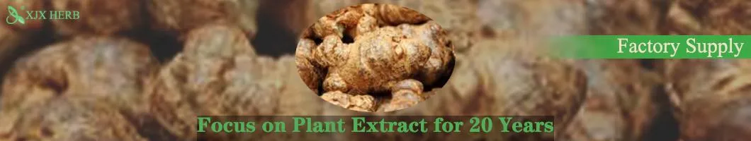 Panax Notoginseng Root Extract Powder HPLC 85% Notoginseng Total Saponins