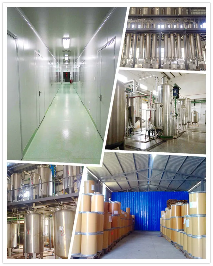 Papaya Leaf Extract Herbal Powder Extract High Quality ISO Certified Natural Pawpaw Extract