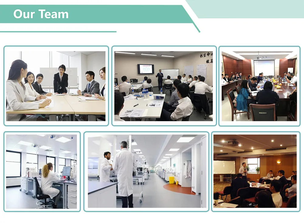 Pesticide Organic Insecticide Matrine Extract Powder Matrine Root Extract Matrine