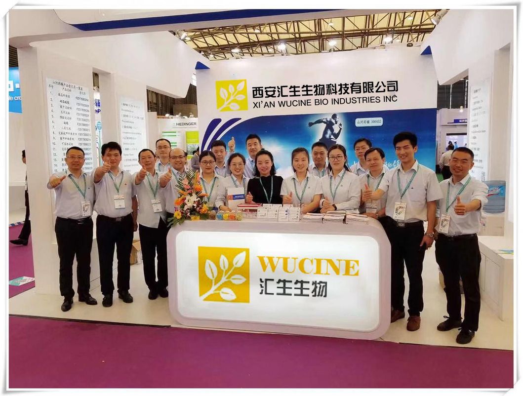 Pharmaceutical Grade Berberis Aristata Extract Berberine HCl 97% Berberine Hydrochloride