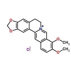 Pharmaceutical Grade Berberis Aristata Extract Berberine HCl 97% Berberine Hydrochloride