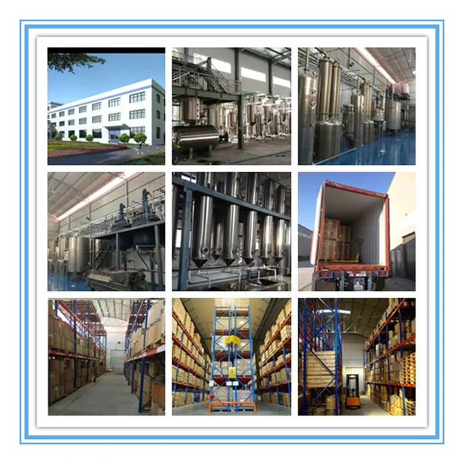 Pharmaceutical Grade Levodopa CAS 59-92-7