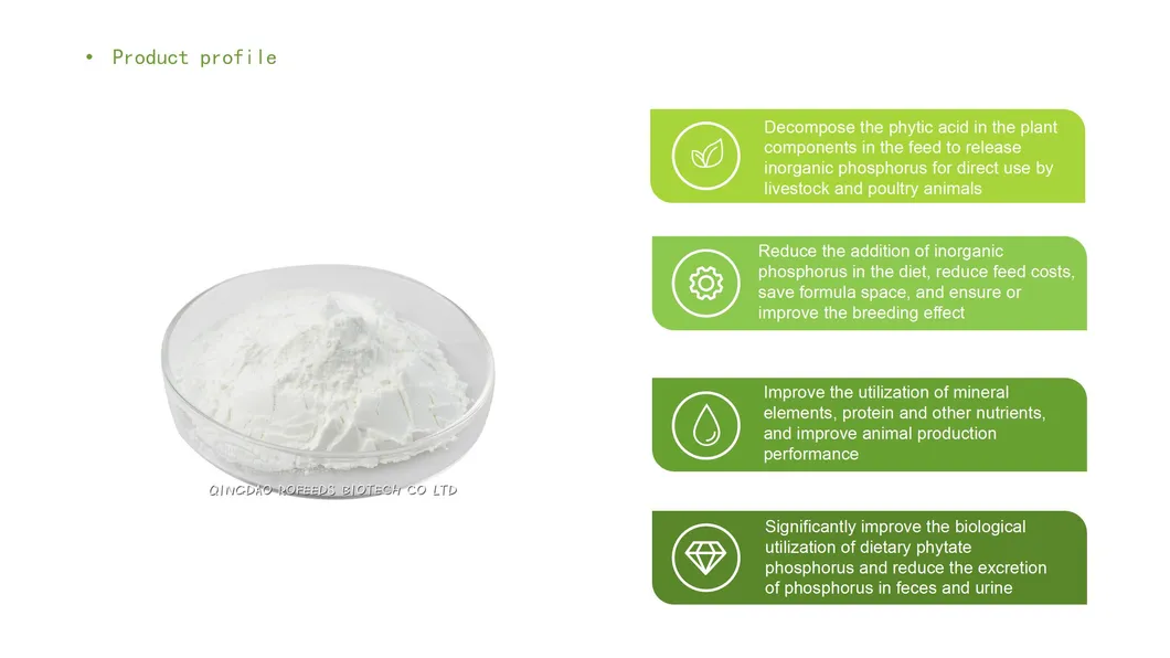 Phytase Manufacturer Enzyme Food Grade Phytase Enzyme for Baking Food Additive