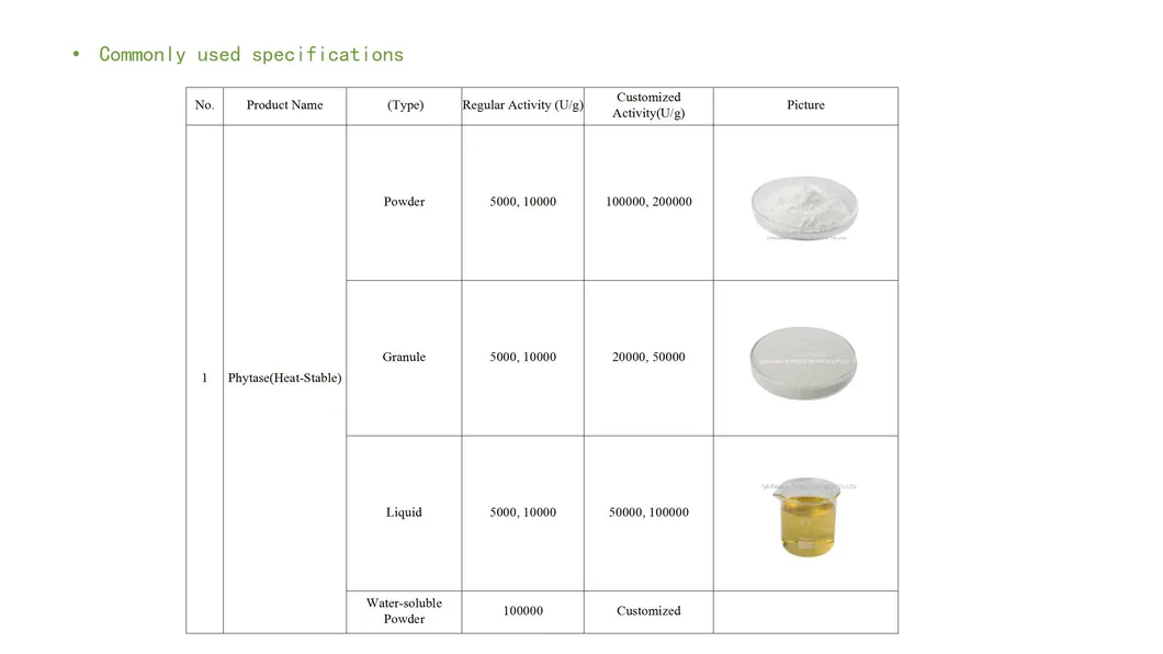 Phytase Manufacturer Enzyme Food Grade Phytase Enzyme for Baking Food Additive