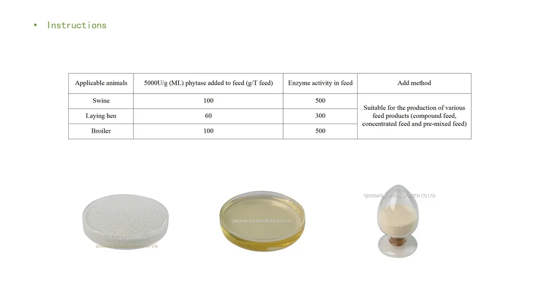 Phytase Manufacturer Enzyme Food Grade Phytase Enzyme for Baking Food Additive