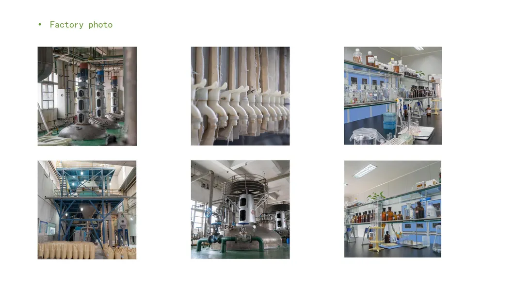 Phytase Manufacturer Enzyme Food Grade Phytase Enzyme for Baking Food Additive