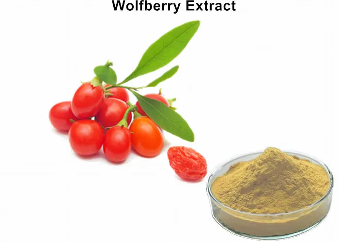 10% Polysaccharides Wolfberry (Goji Berry) Extract for Cosmetics