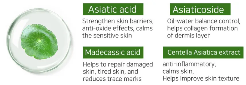 Plant Extract Herbal Extract Cosmetics Ingredients Gotu Kola Asiatic Acid Centella Asiatica Extract Triterpenoid Glycosides Powder