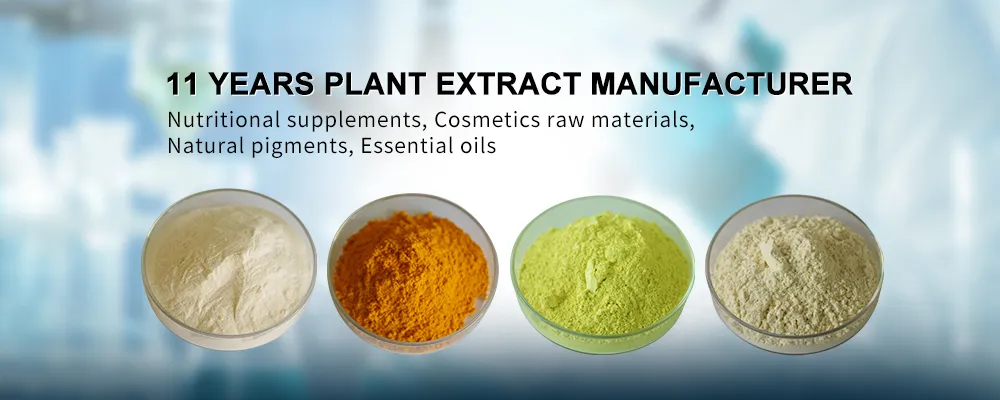 Plant Extract Herbal Extract Cosmetics Ingredients Gotu Kola Asiatic Acid Centella Asiatica Extract Triterpenoid Glycosides Powder