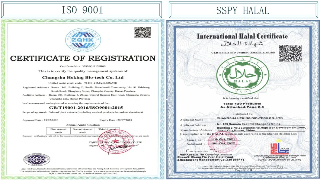 Plant Extract Powder Quercetin Rutin Hesperidin Resveratrol Sophora Japonica Citrus Polygonum Cuspidatum Extract