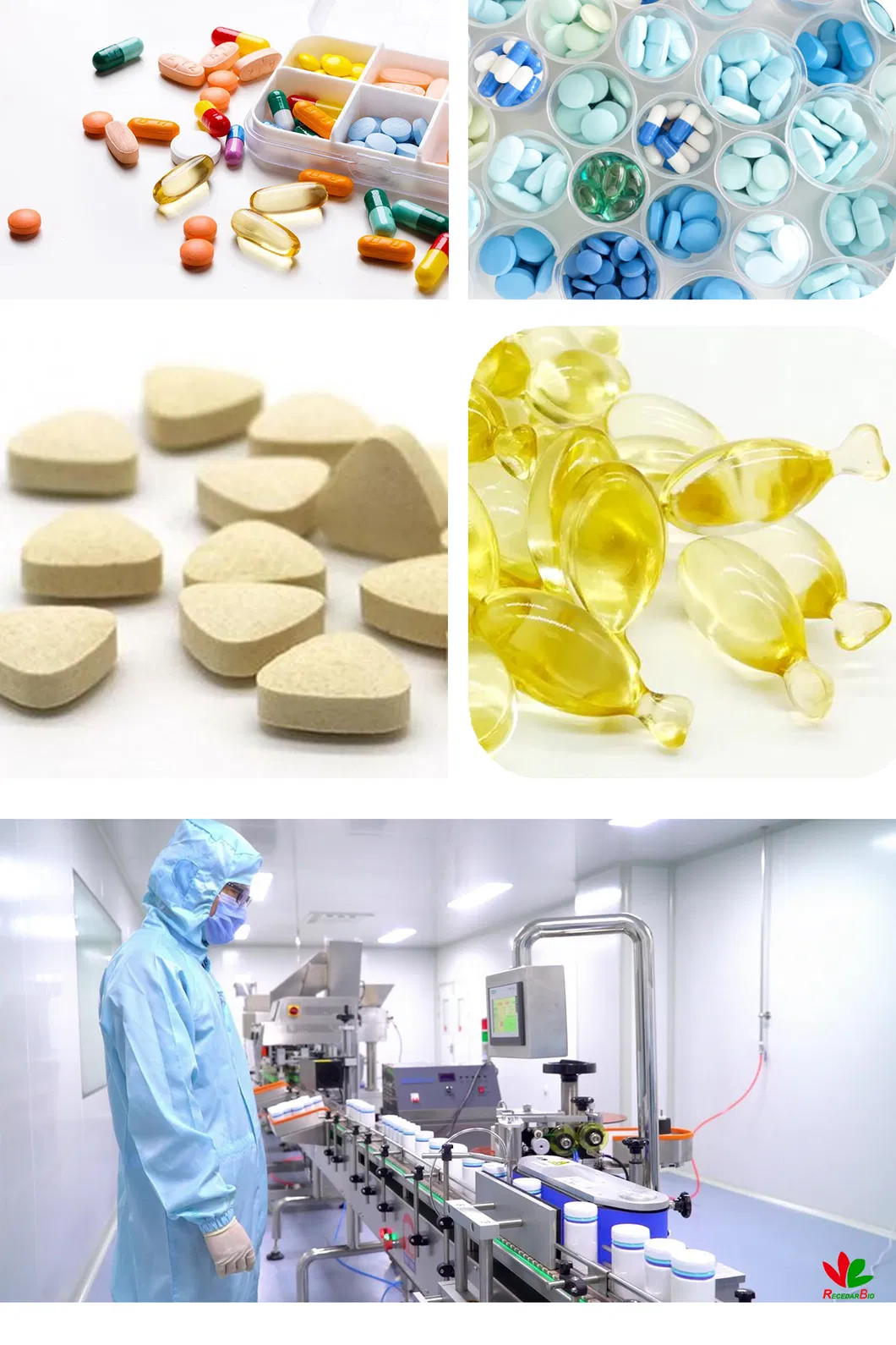 Private Label Magnesium Supplement Tablets Magnesium Tablets for Bone Health