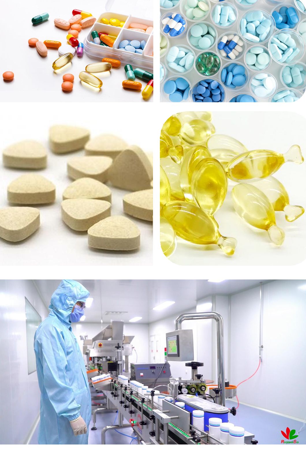 Private Label OEM Glucosamine Chondroitin Tablets for Bone Health