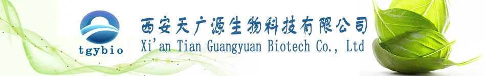 Professional Plant Extract Manufacturer Soybean Extract CAS 574-12-9 Isoflavone