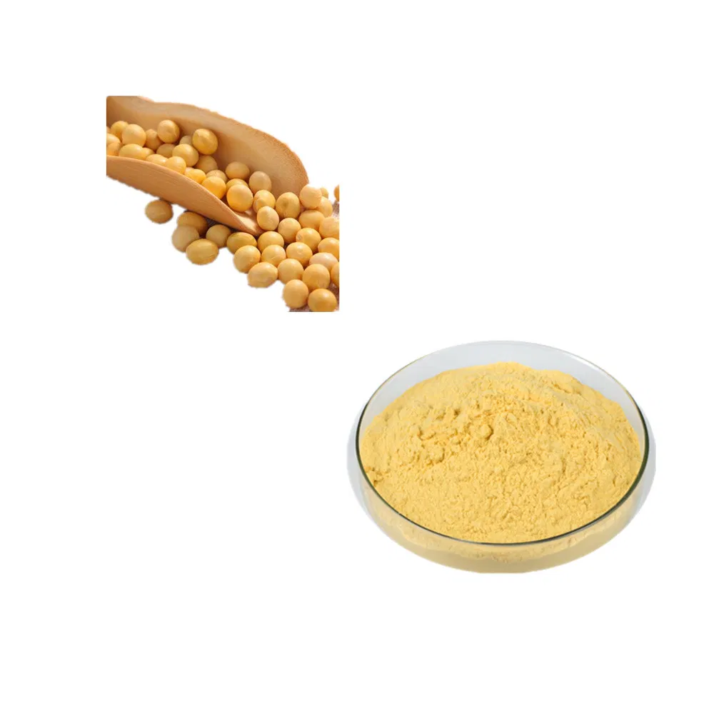 Professional Plant Extract Manufacturer Soybean Extract CAS 574-12-9 Isoflavone
