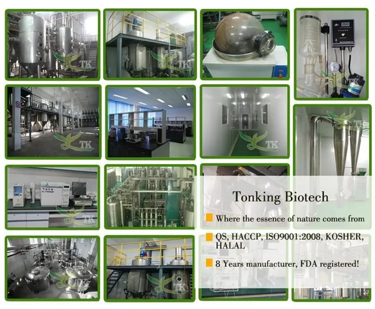 Pure Flavour Milk Tea Taro Root Powder Bubble Tea Extract