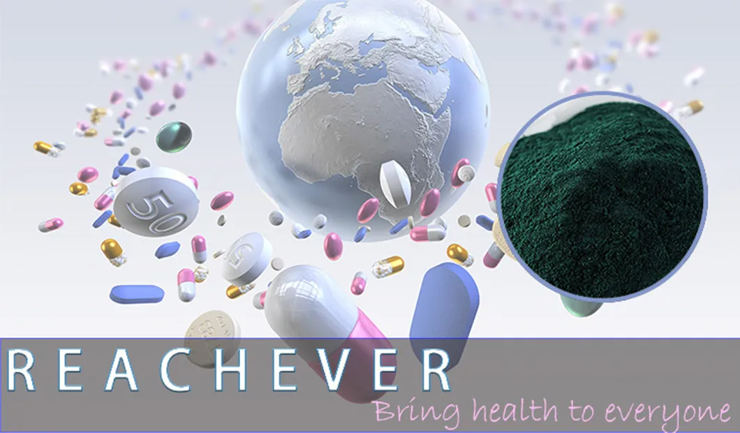 Pure Green Organic Spirulina Pill Super Food Spirulina Tablet with Private Label