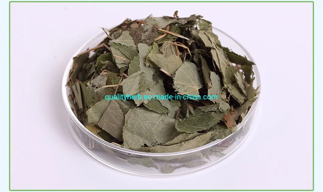 Pure Icariin 50% 60% 80% 98% Horny Goat Weed Epimedium Brevicornum Epimedium Sagittatum Extract Powder Herb Herbal
