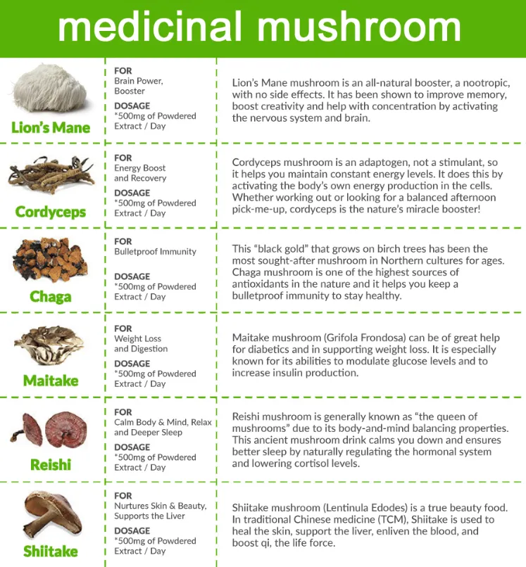 Pure Natural 100% Shiitake Mushroom Extract Shiitake Mushroom Powder