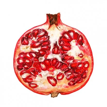 Pure Natural Factory Price Ellagic Acid Pomegranate Extract