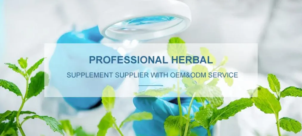 Red Clover Extract 8% 20% 40%Isoflavones Powder with Good Quality and Certified Reports