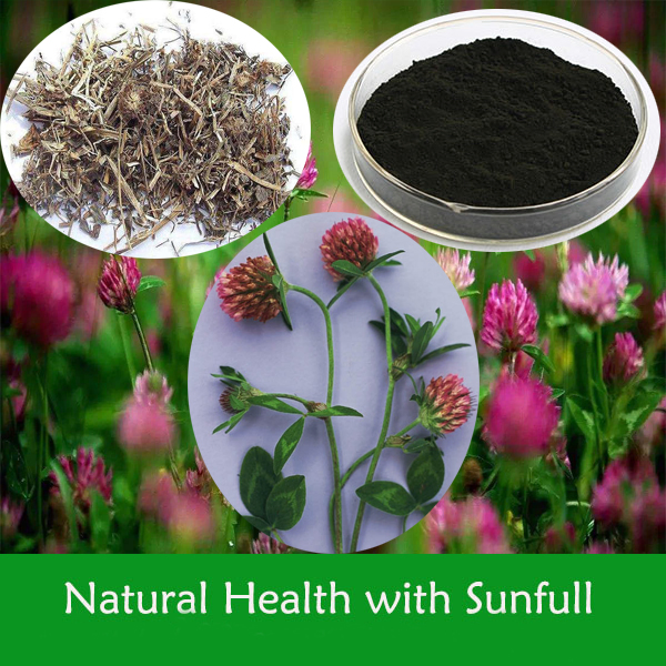 Red Clover Extract 8~40% Isoflavones for Women Health
