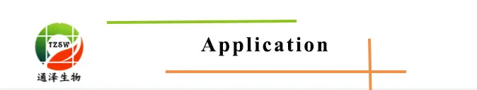 Rehmannia Root Rehmannia Root Extract Rehmannia Chinensis Root Extract 5: 1 Tlc and 10: 1 Tlc