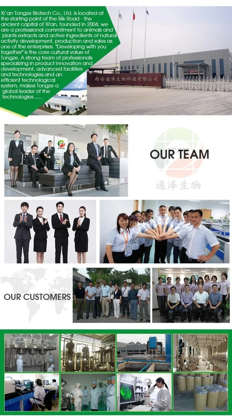 Rehmannia Root Rehmannia Root Extract Rehmannia Chinensis Root Extract 5: 1 Tlc and 10: 1 Tlc