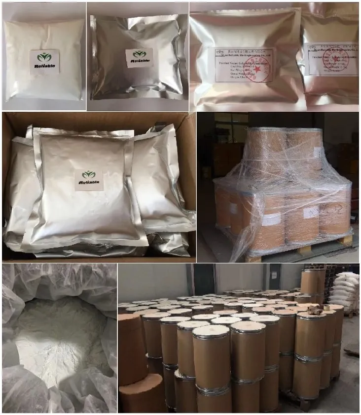 Reliablebio Lotus Leaf Extract 98% Nuciferine Powder CAS 475-83-2