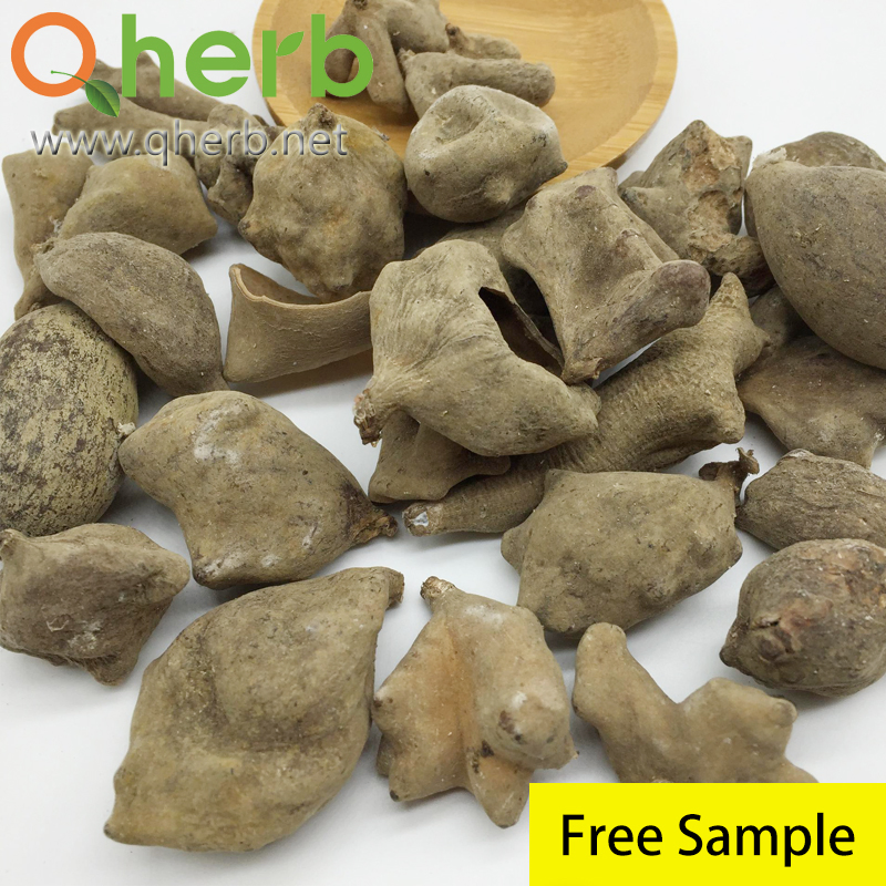 Rhus Chinensis Extract 40% Ellagic Acid Extracted From Gallnut