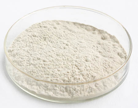 Rosemary Extract for Protecting Brain Cells Used in Health Food