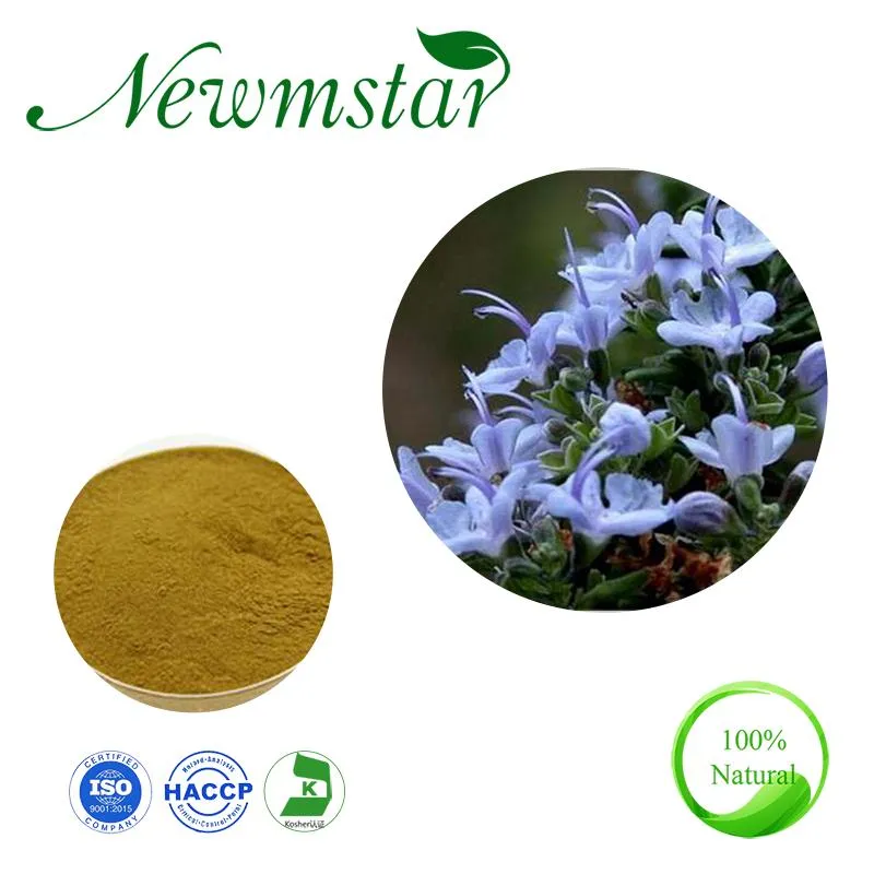 Rosemary Extract Organic Natural Herb Extract for Health Food