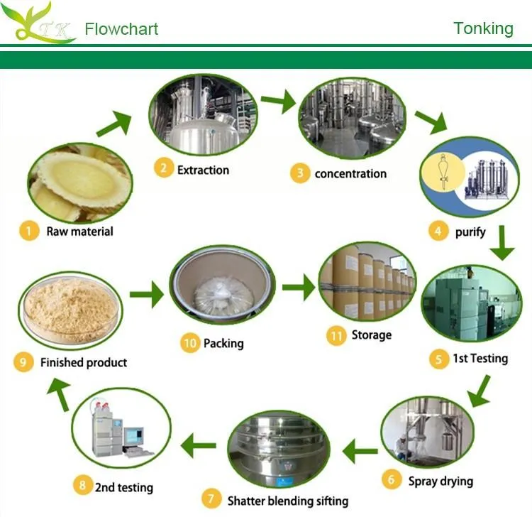 Scutellaria Baicalensis Baikal Skullcap Root Extract Powder 85% Baicalin