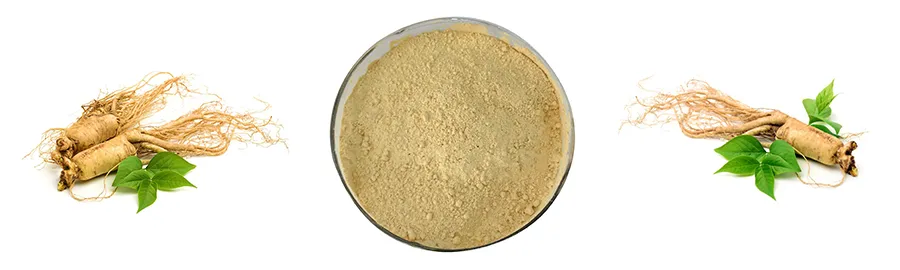SOST Supply 100% Natural Red Panax Ginseng Root Extract Ginseng Powder