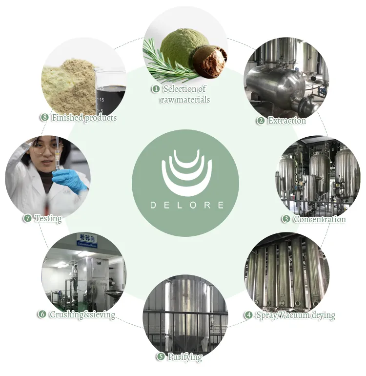 Stevia Reb-a 97% Stevia Sugar Stevia Leaf Extract 100% Natural Stevia Leaves Extract Natural Sweetener Stevioside Stevia Leaf Extract Herbal Extract