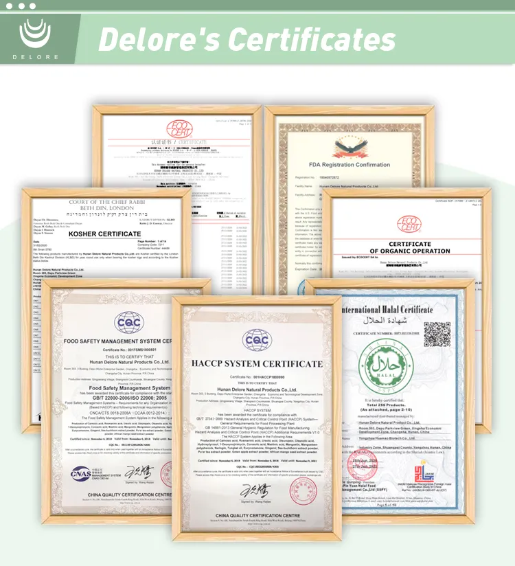 Stevia Reb-a 97% Stevia Sugar Stevia Leaf Extract 100% Natural Stevia Leaves Extract Natural Sweetener Stevioside Stevia Leaf Extract Herbal Extract