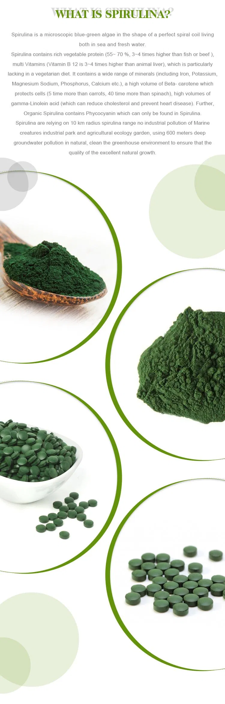 Super Healthcare Product Organic Spirulina and Chlorella Powder/Tablets Factory Supply