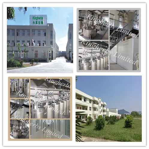 Supply 100% Natural Argyi Leaf Extract Eupatilin 0.25%