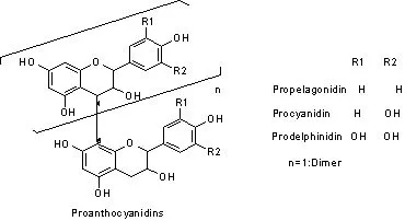 Supply Grape Seed Extract for Functional Food