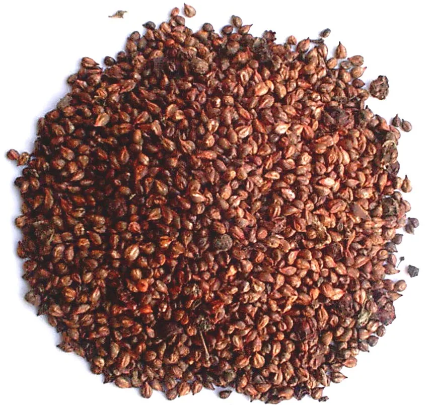 Supply Grape Seed Extract for Functional Food